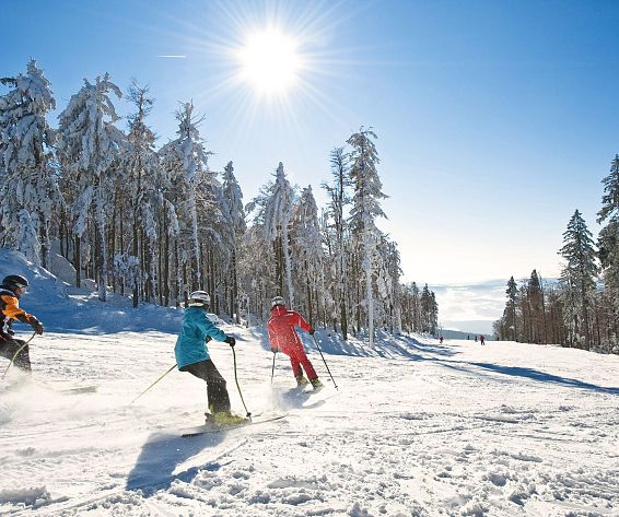 AVIVA_Skiing_hotelsINshape
