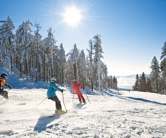 aviva-skifahren-hotelsinshape-6