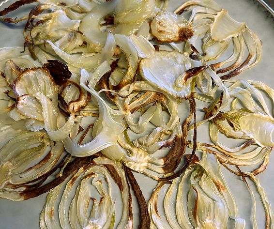 fenchel-gegrillt-img-4014-2