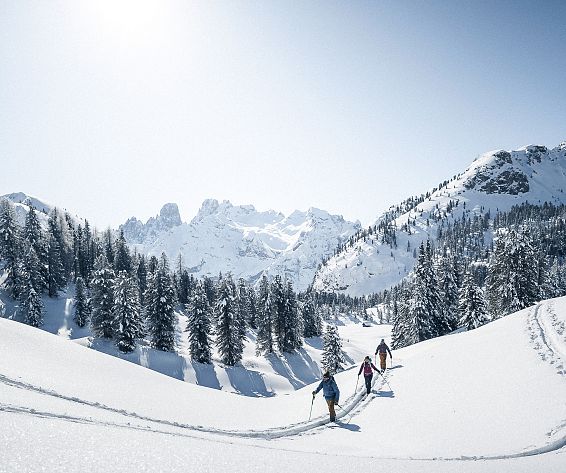 idm-sudtirolalto-adige-006-idmskitour-kottersteger-210213-kot-6391-2