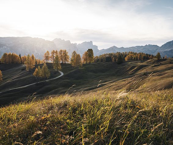 idm-sudtirolalto-adige-idm07568almo-2