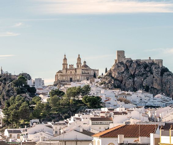 Olvera_AdobeStock_315142541