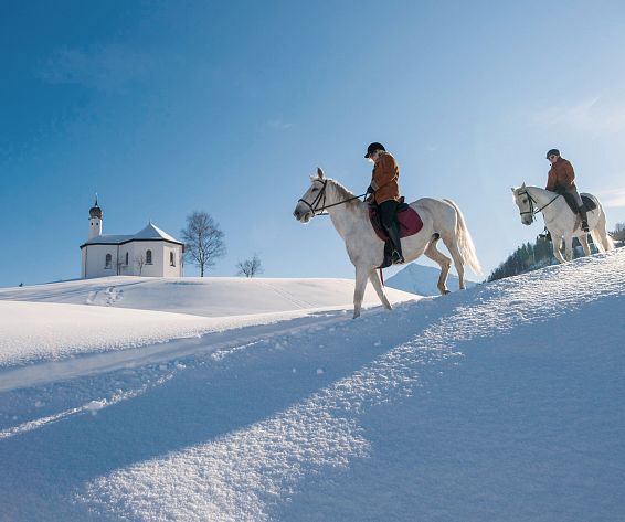 posthotel-achenkirch-hotelsinshape-pferde-lippizaner-im-winter-6203-2
