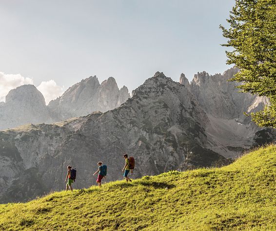 wandern-weitwandern-wilder-kaiser-foto-von-felbert-reiter-98-2