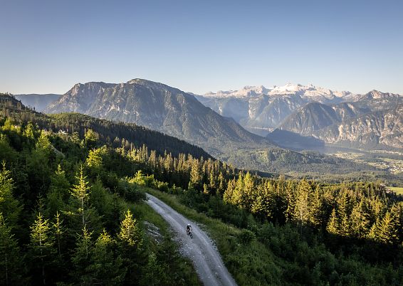 072910-erwin-haiden-0016-3